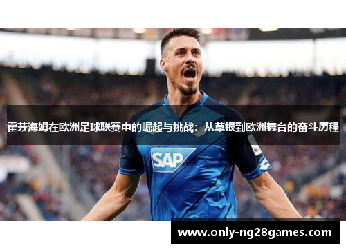 霍芬海姆在欧洲足球联赛中的崛起与挑战：从草根到欧洲舞台的奋斗历程