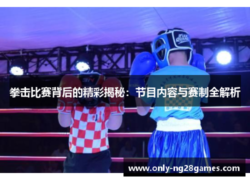 拳击比赛背后的精彩揭秘：节目内容与赛制全解析